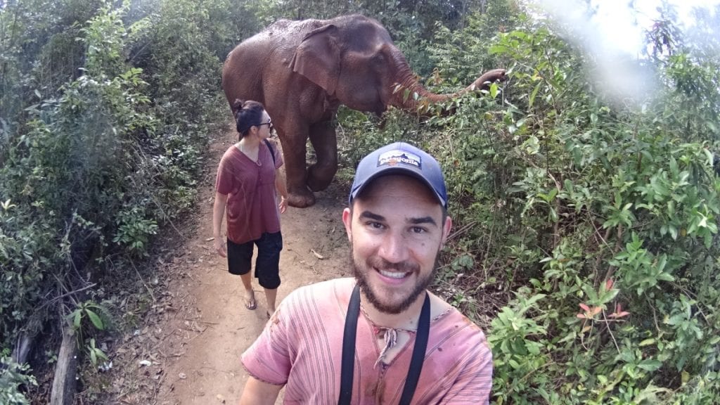 elephant nature park jungle walk