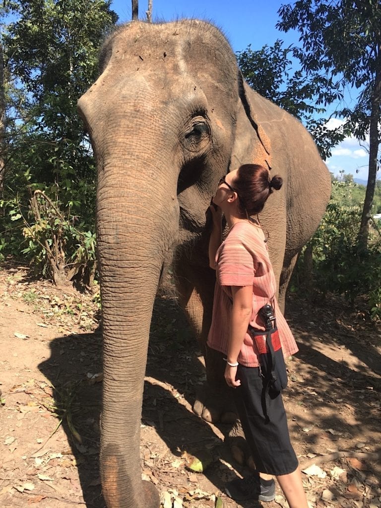Elephant Sanctuary In Chiang Mai