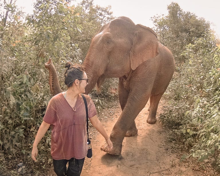 The Best Elephant Sanctuary In Chiang Mai, Thailand