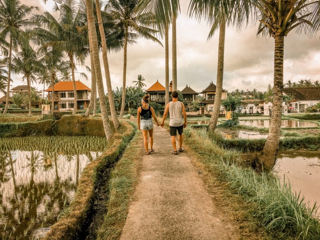walking the rice fields of Ubud, Bali