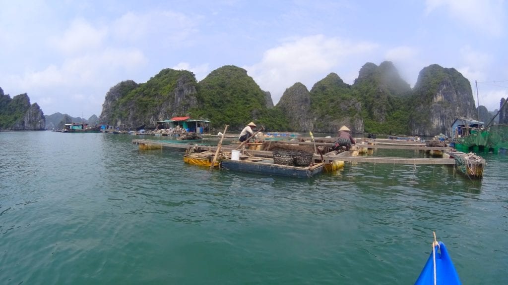 Ben Beo Fishing Village in Lan Ha Bay
