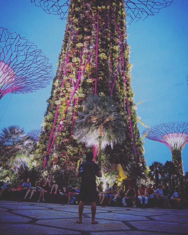Light show from Gardens by the Bay