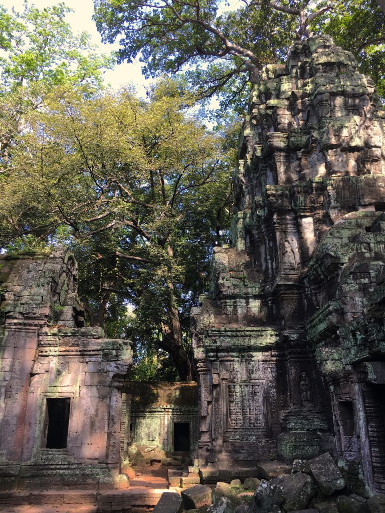 Ta Prohm temple in Cambodia