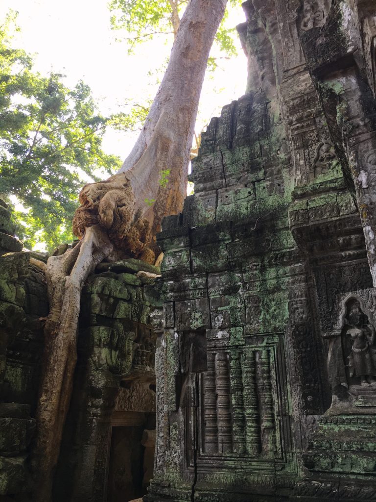 The temple and ruins of Ta Prohm