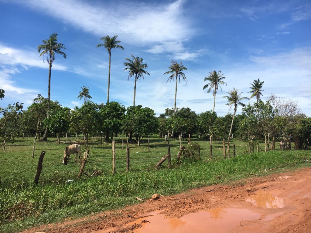 Countryside of Kampot