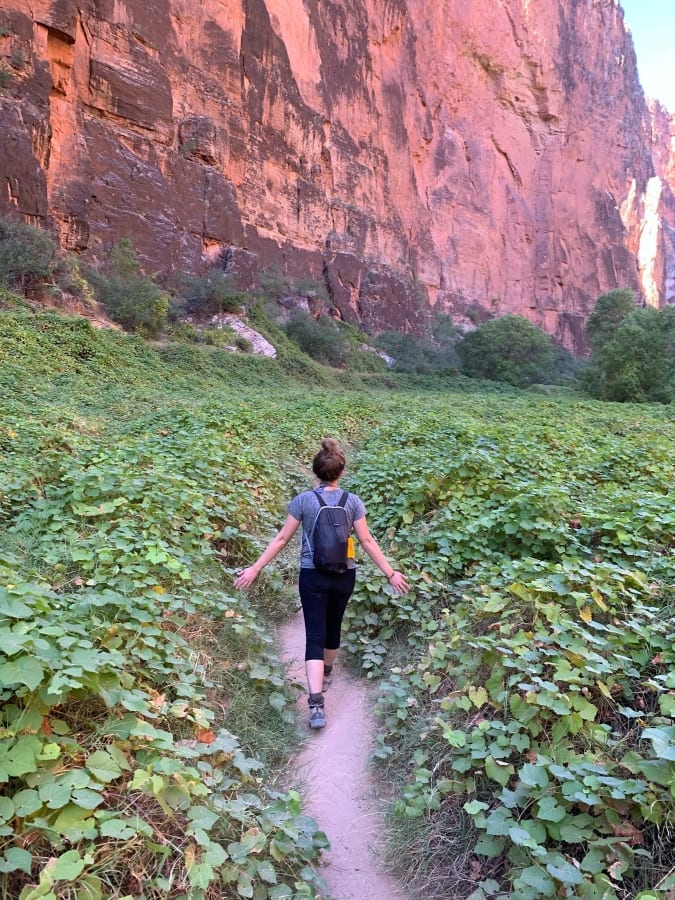 Havasupai Permits On Our Day Pack