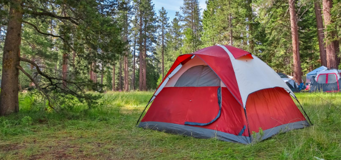 Camping for Beginners: Tips & Essential Camping Gear