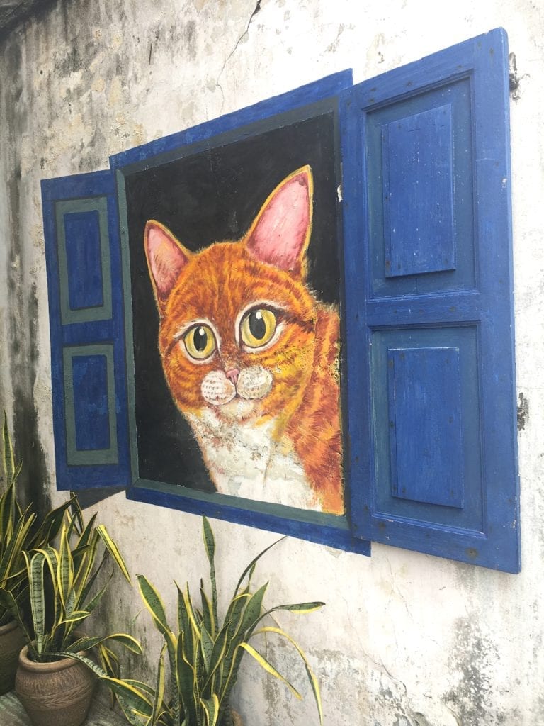 Cat in Blue Window