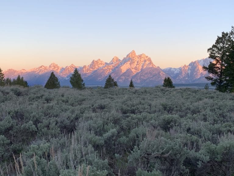 One Day In Grand Teton National Park: The Must See’s