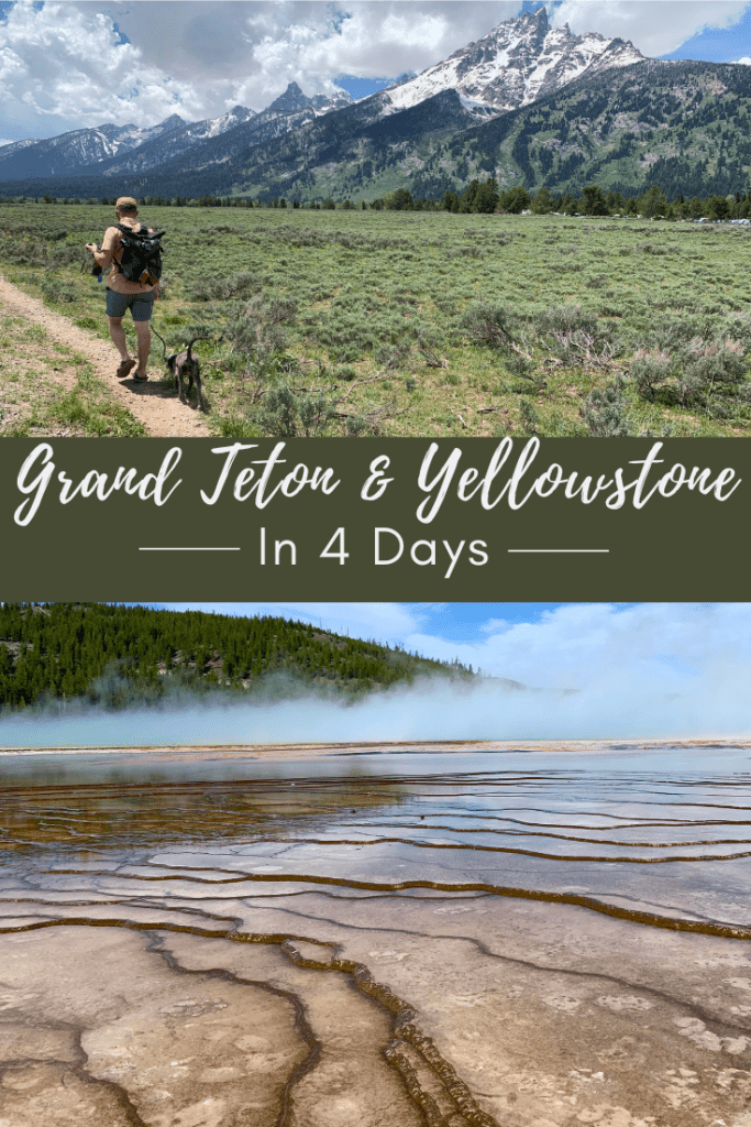 Yellowstone and Grand Teton in 4 Days Pin