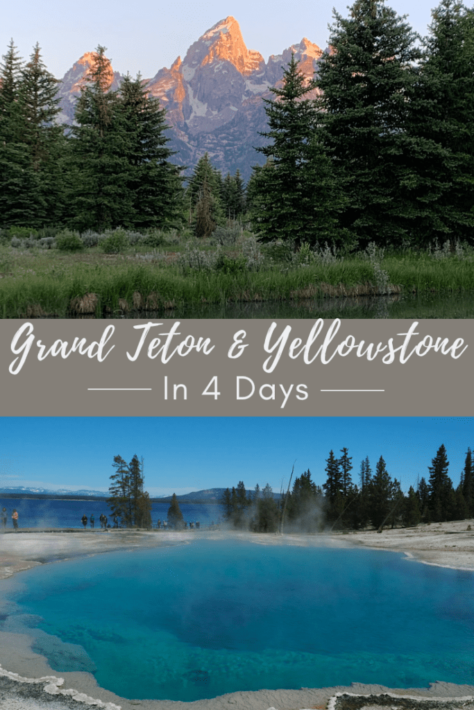Yellowstone and Grand Teton in 4 Days Pin