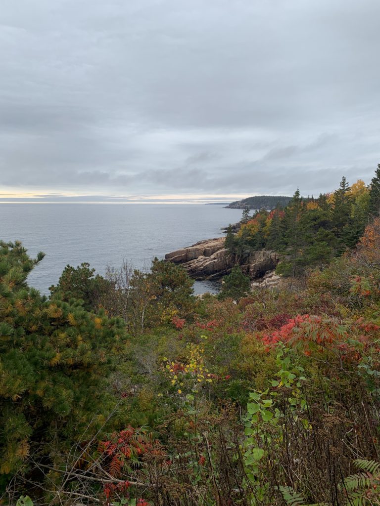 Views from Ocean Path Trail in Acadia