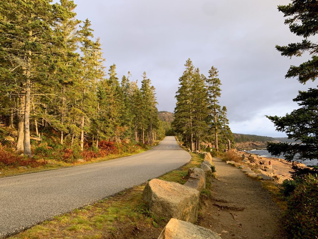 Ocean Path Trail in Acadia National Park