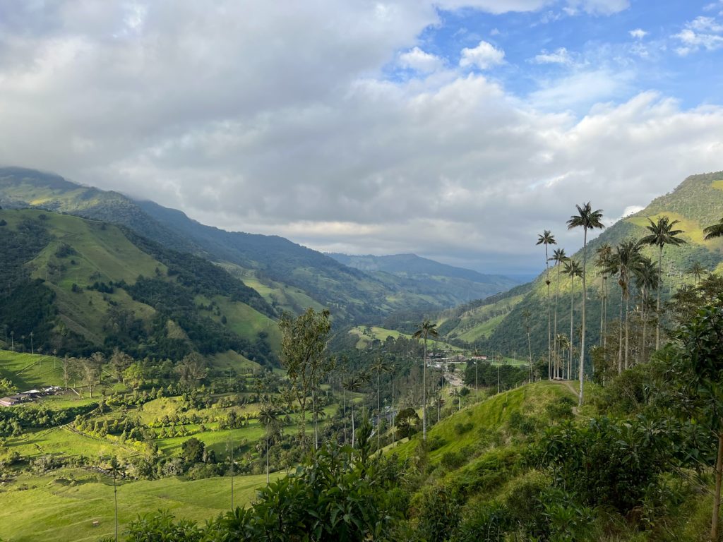 Lush green hills and giant palms of Cocora Valley