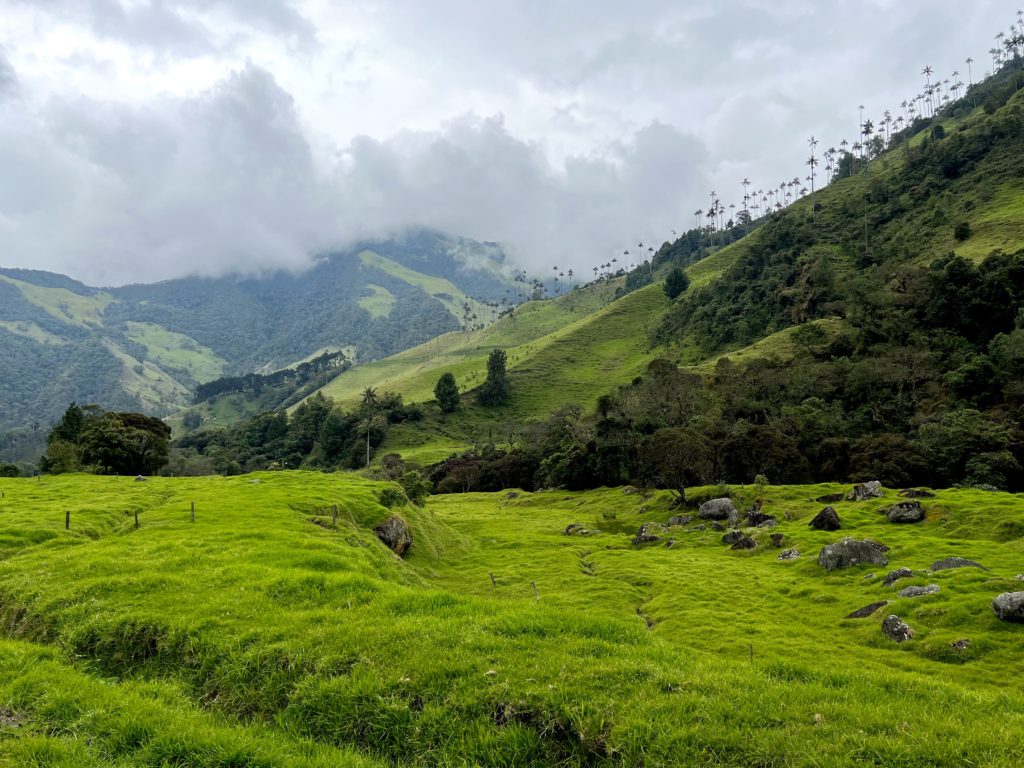 Lush fields of Cocora Valley