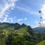 Rolling hills of cocora valley in Colombia