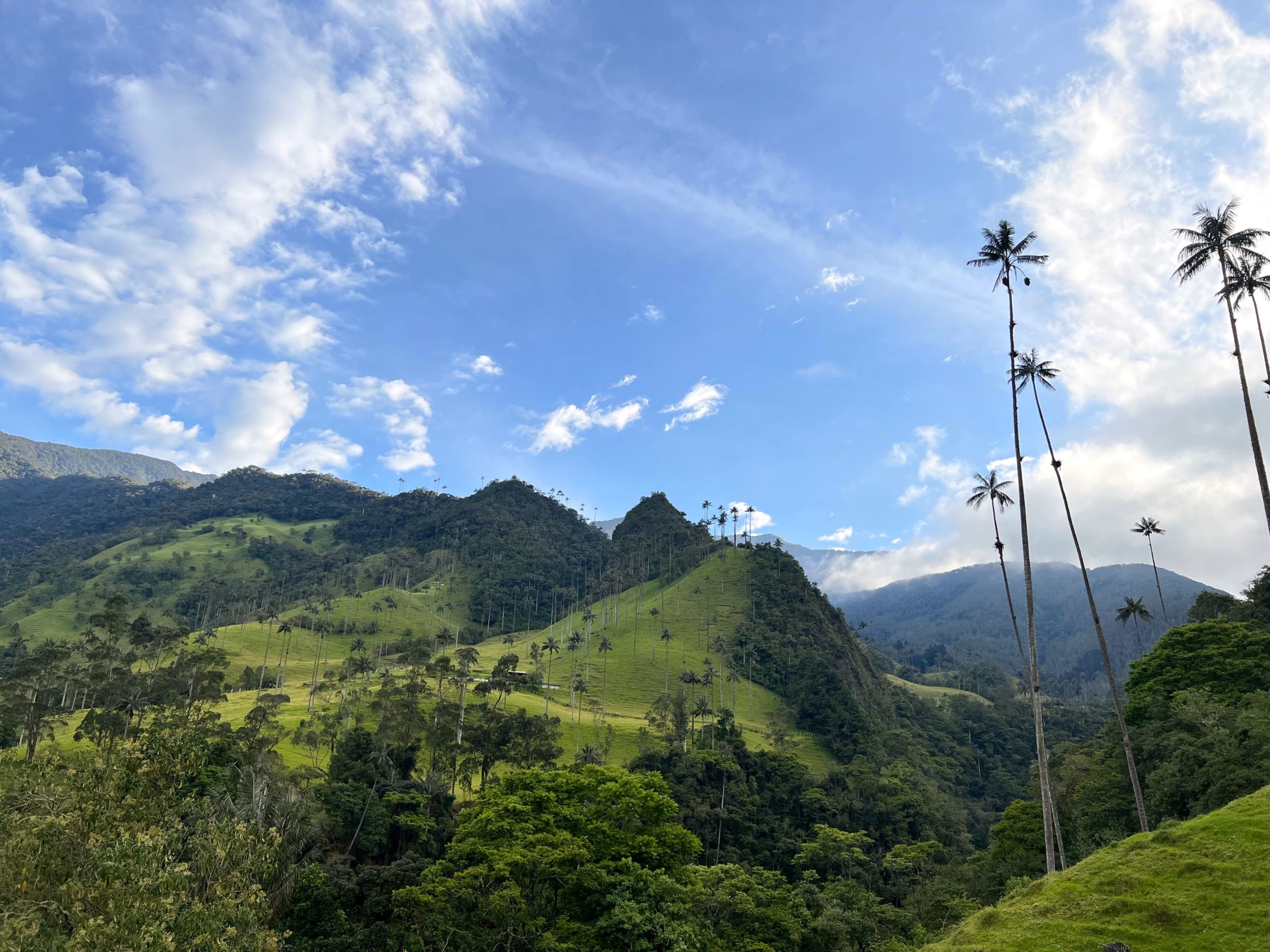 Rolling hills of cocora valley in Colombia