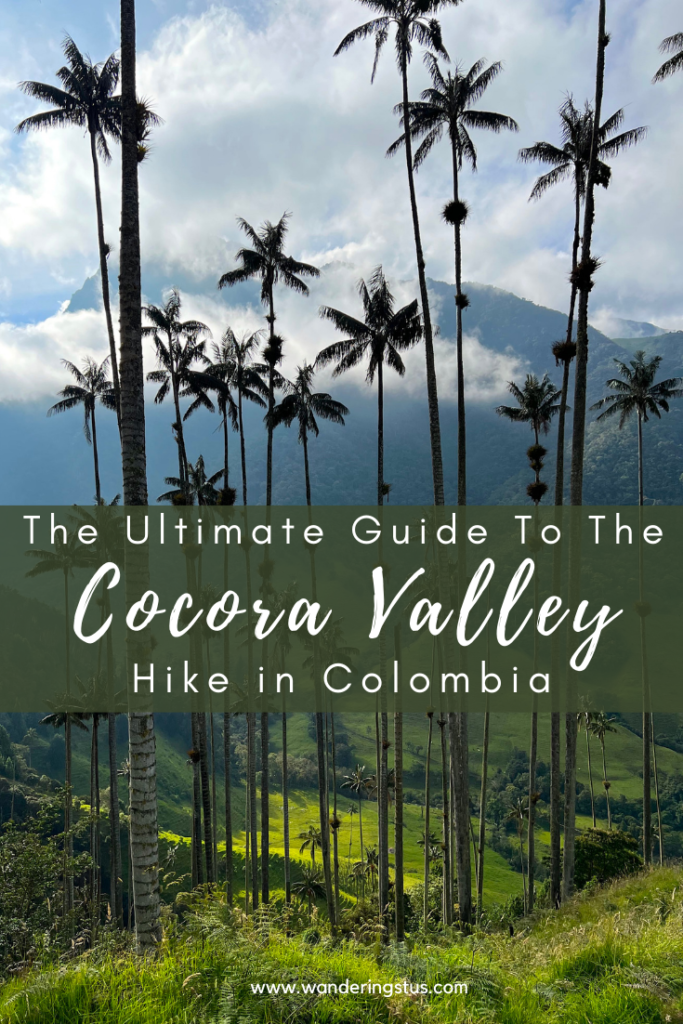 Cocora Valley Hike Pin