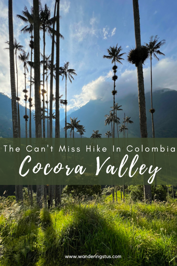 Cocora Valley Hike Pin