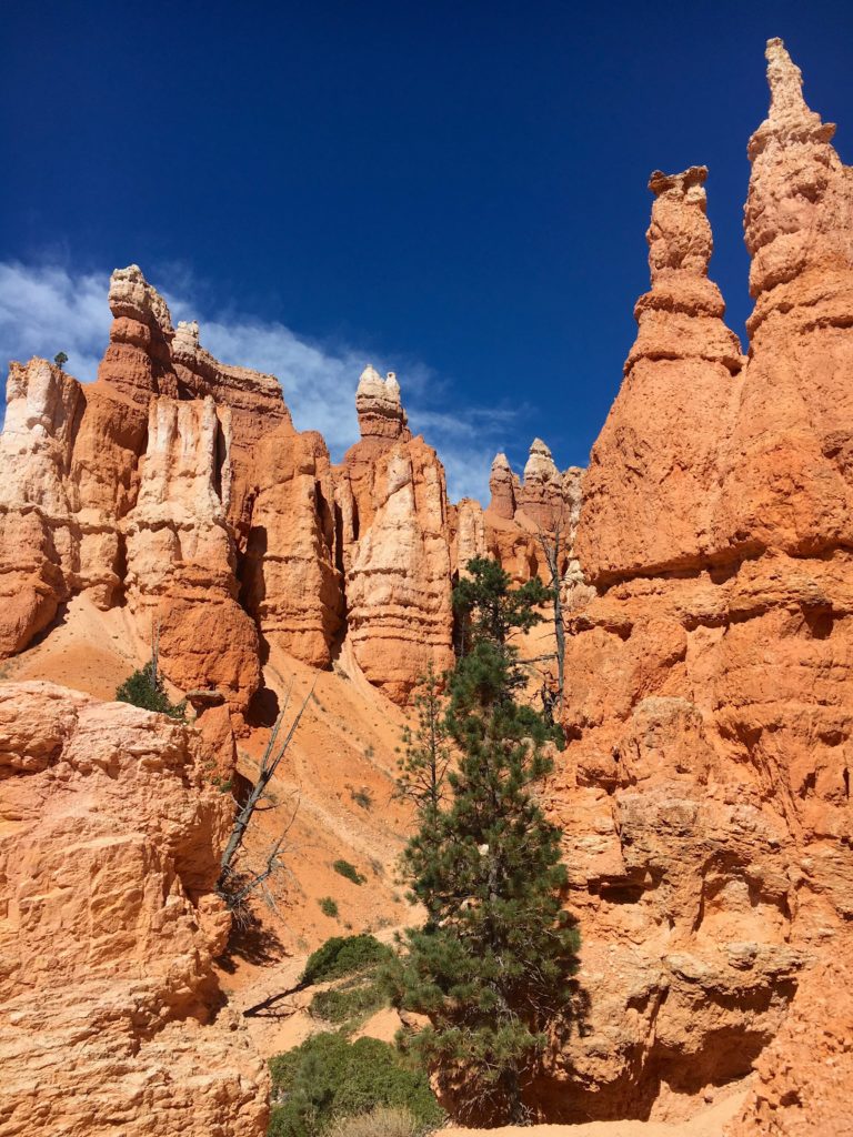 The hoodoos of Bryce Canyon