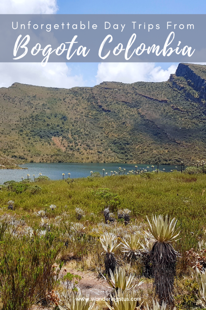 day trips from Bogota Pin