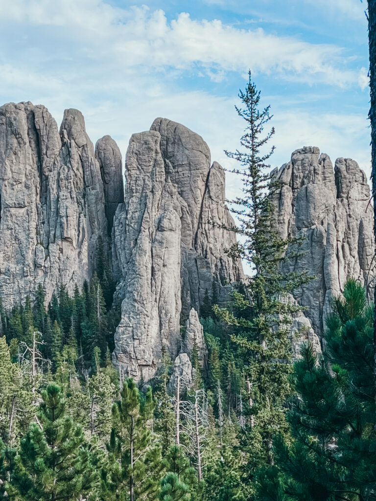 Cathedral Spires in Custer State Park