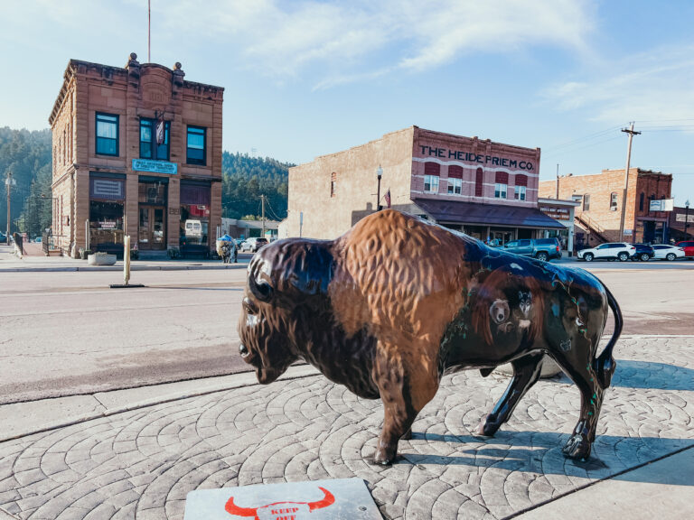 Can’t Miss Things To Do In Custer South Dakota & Custer State Park
