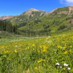 Hiking in Crested Butte in Summer