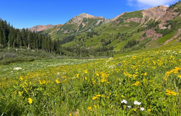 12 Amazing Things To Do In Crested Butte in Summer