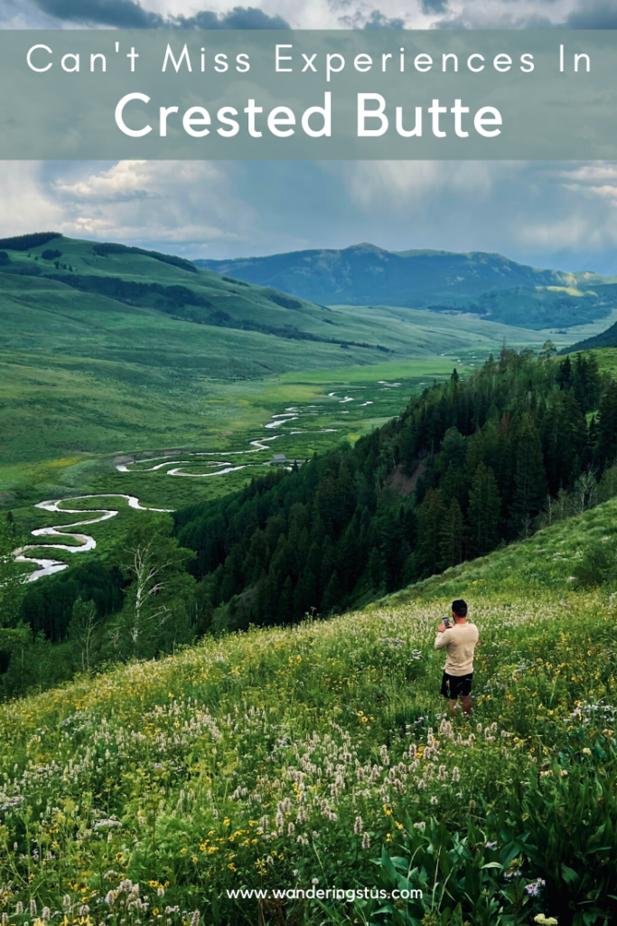 Crested Butte in Summer Pin