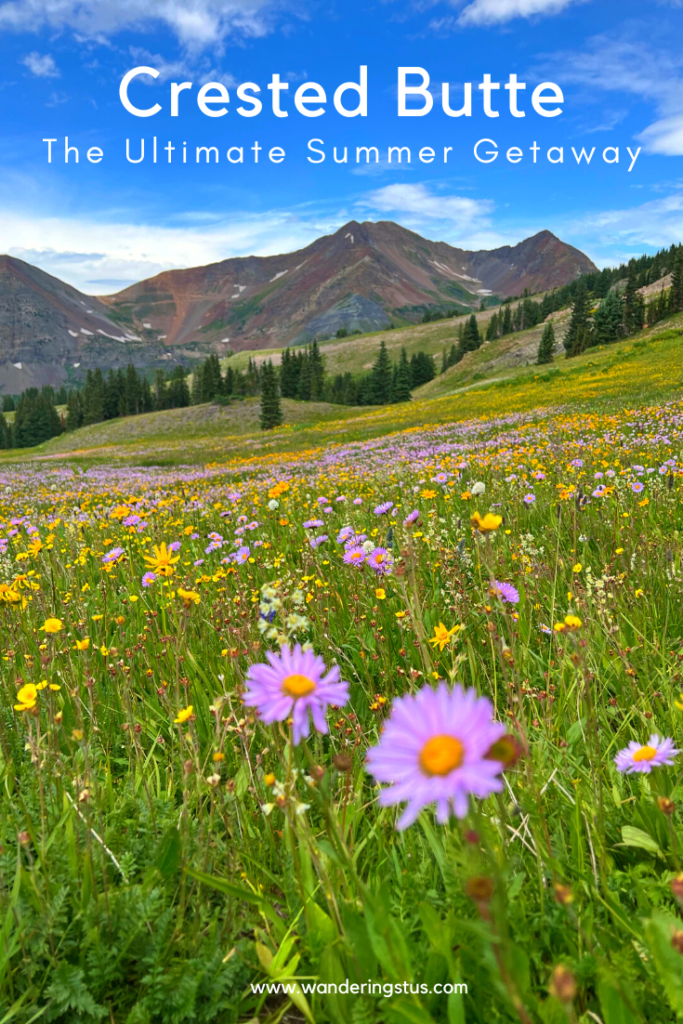 Crested Butte in Summer Pin 