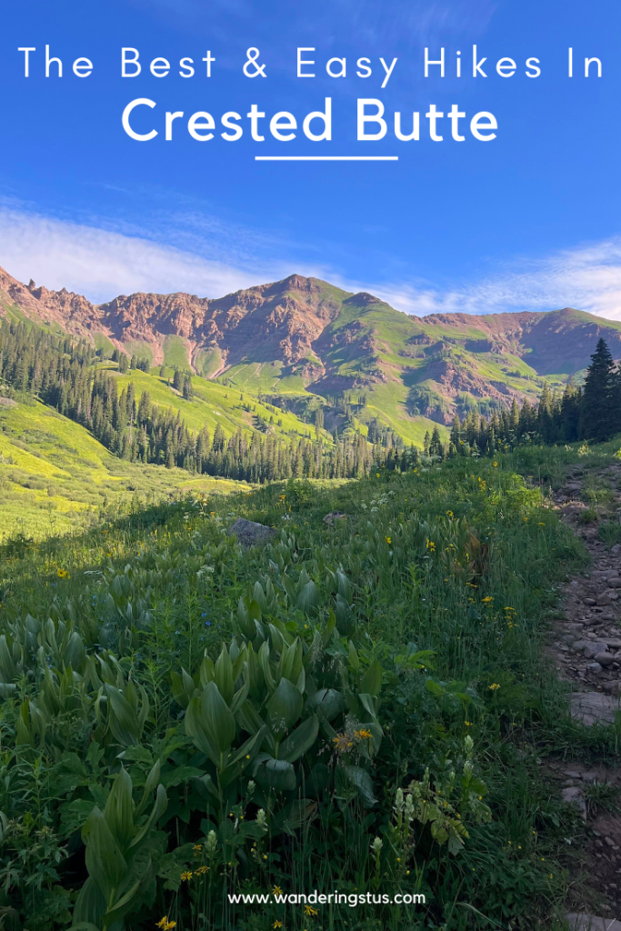 Hiking In Crested Butte Pin