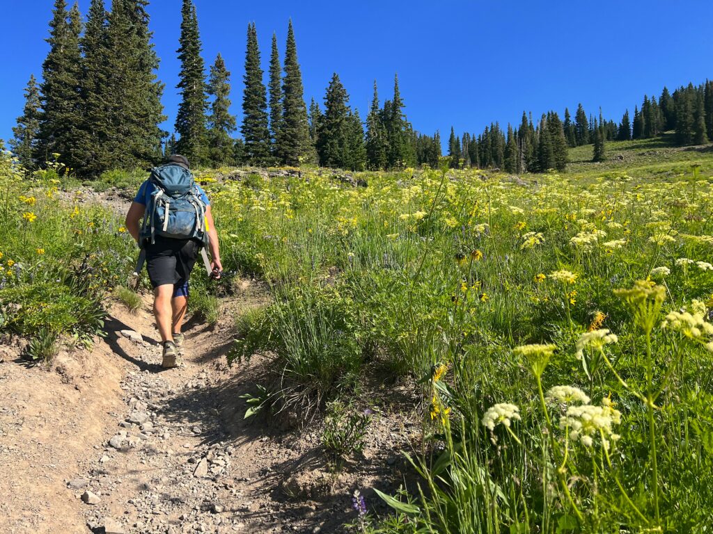 Steep ascent to Scarp Ridge in Crested Butte